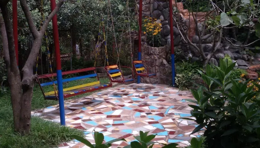 Savane — Photo 10
