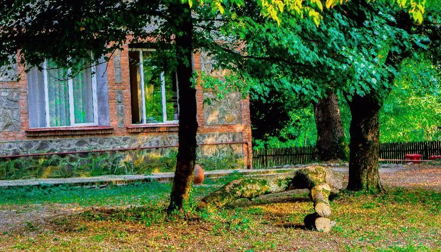 Wald Hotel Lagodekhi — Photo 11