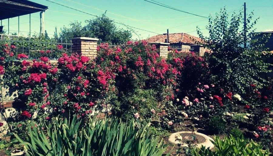 Hotel Sweet Home — Photo 1