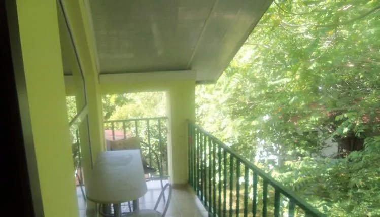 TINIKO — Photo 11