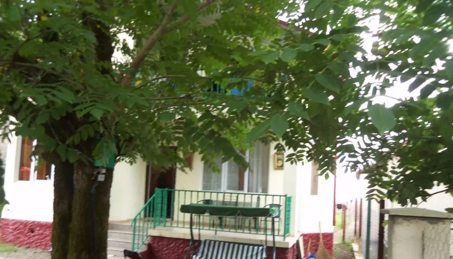 TINIKO — Photo 6