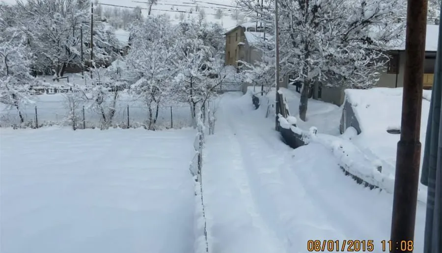 Golden Mountains House — Photo 1
