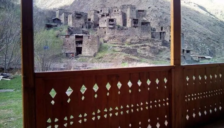 Nika — Photo 4