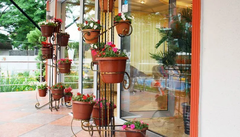 Exotica — Photo 3