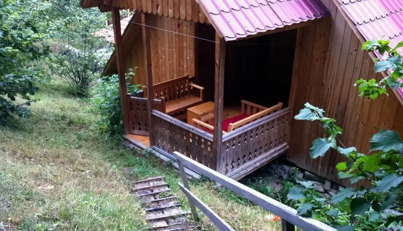 Guesthouse Timotesubani — Photo 7