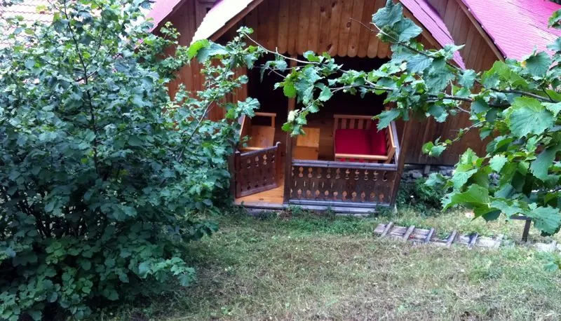 Guesthouse Timotesubani — Photo 5