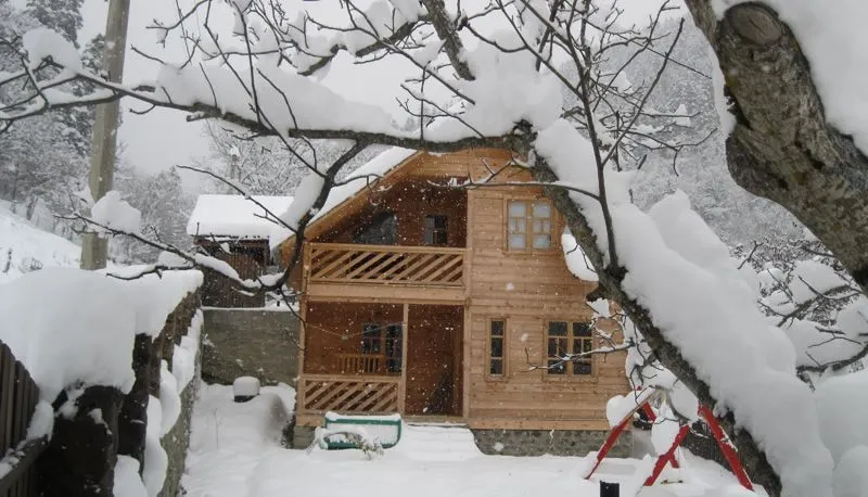 Eco Cottages — Photo 11