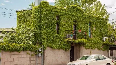 Green House — Photo 7