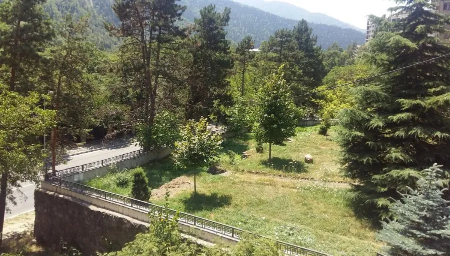 Guesthouse Borjomi-Likani Lomidze — Photo 6