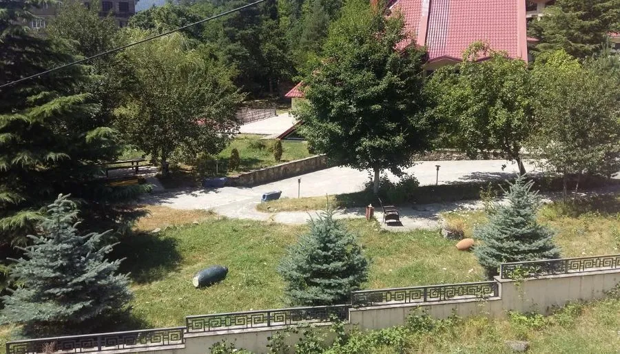 Guesthouse Borjomi-Likani Lomidze — Photo 5