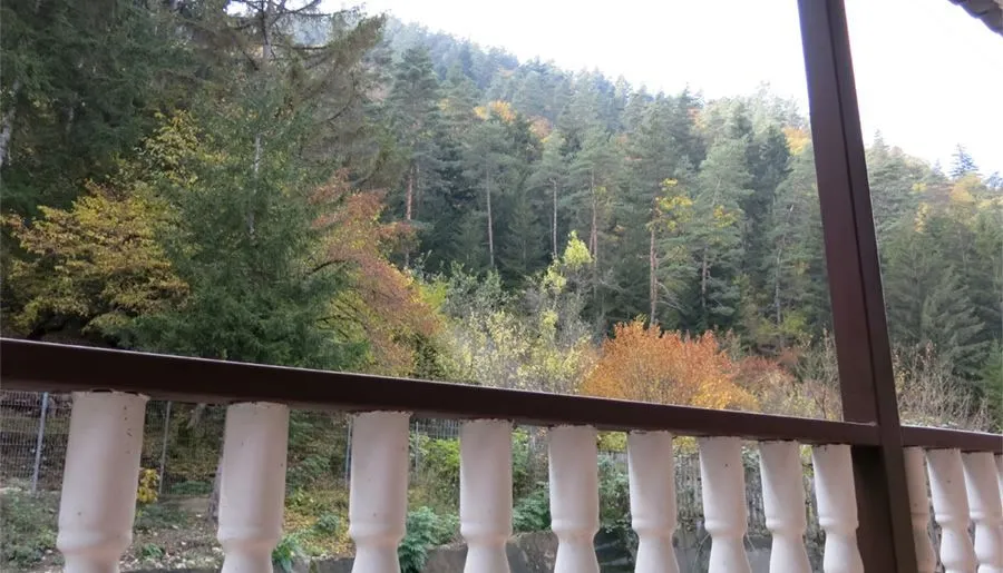 Guesthouse in Likani — Photo 5