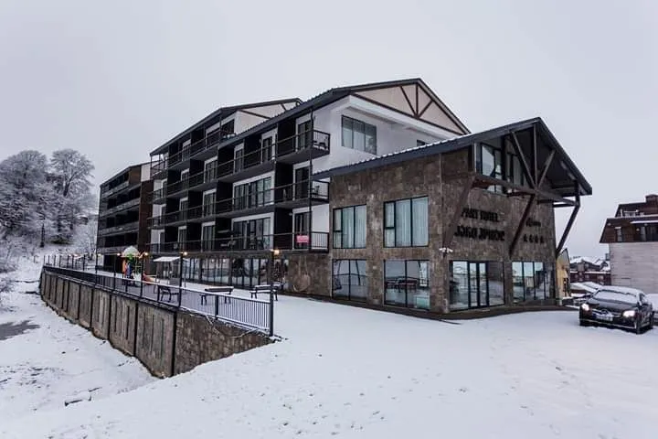 Bakuriani Mgzavrebi Apt 211 — Photo 5