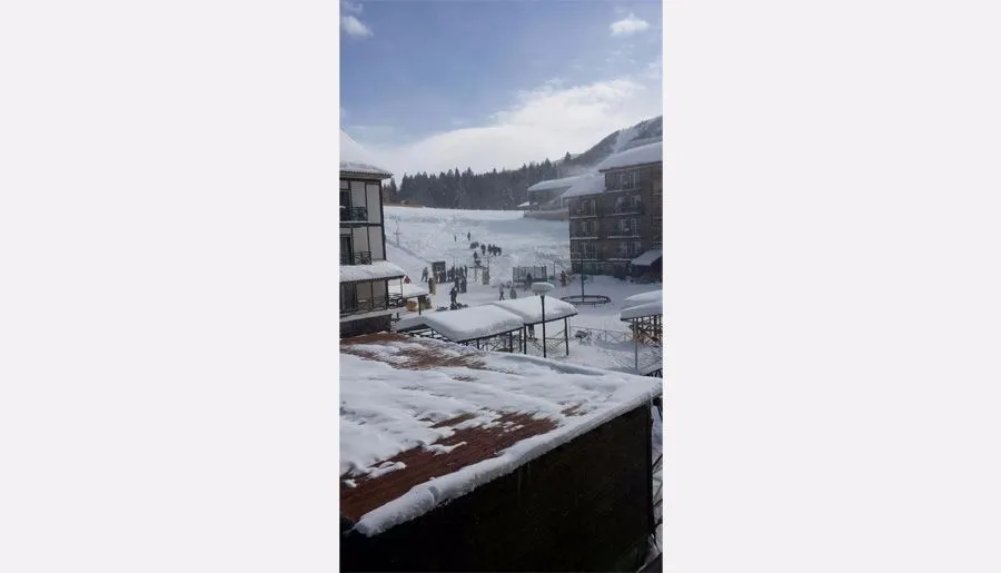Bakuriani Mgzavrebi Apt 211 — Photo 1