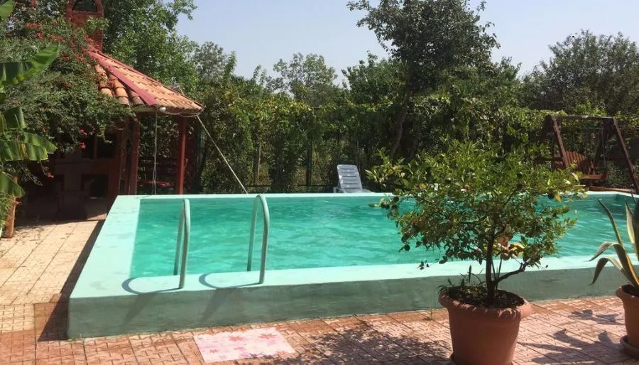 Wine Garden — Photo 1