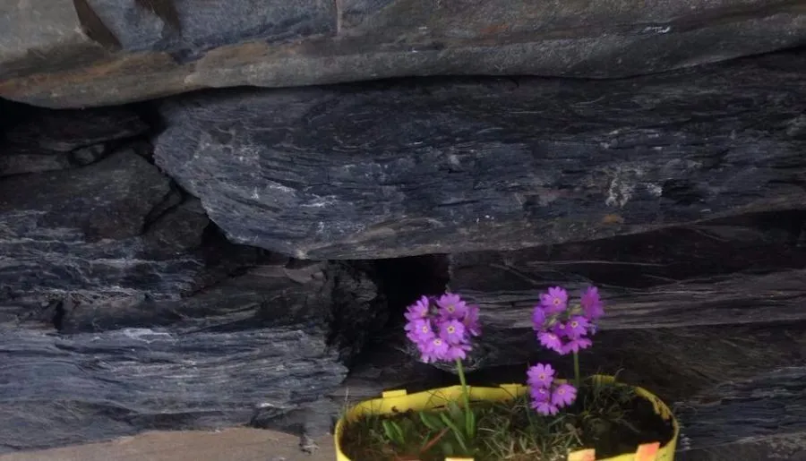 Shio's stonehouse — Photo 10