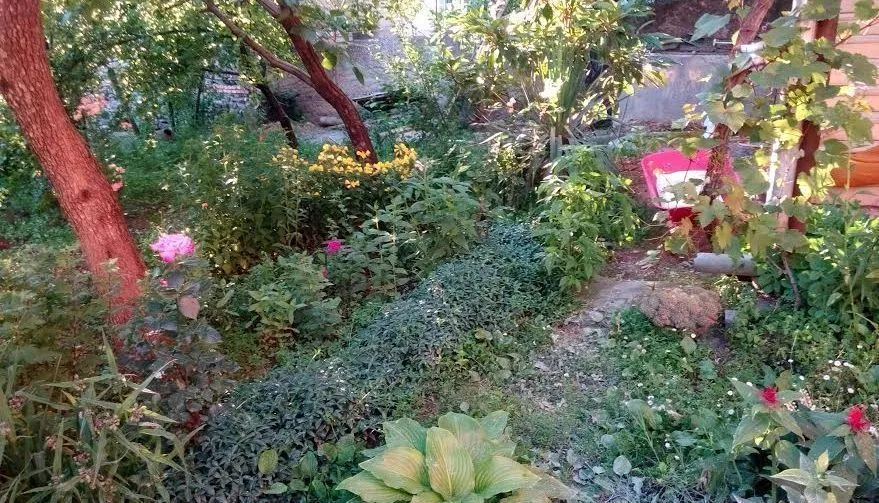 Chirina — Photo 2