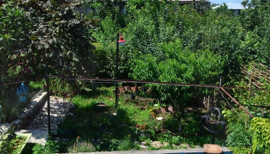 Green House Telavi — Photo 9