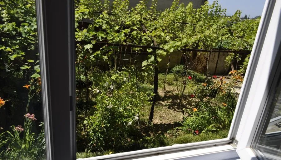 Nature house — Photo 10