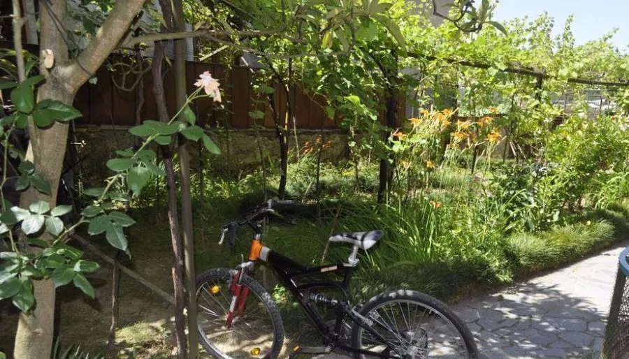 Nature house — Photo 12
