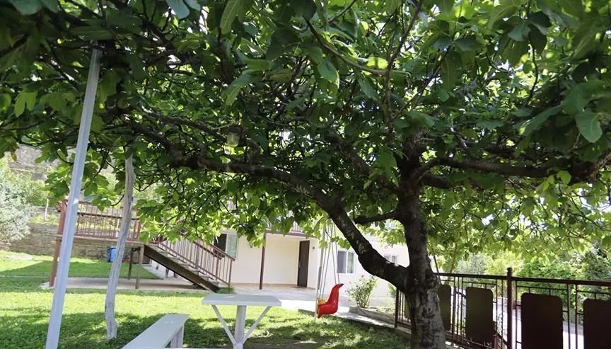 Green House — Photo 6