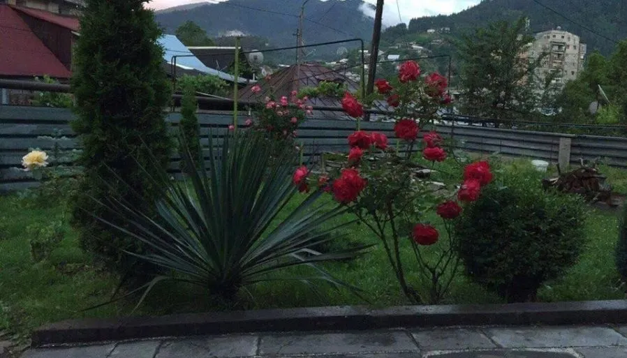 Medi — Photo 11