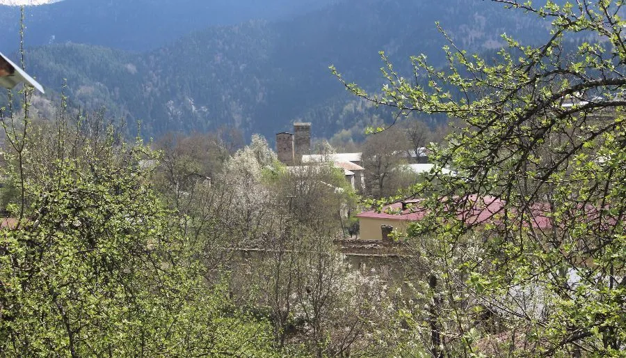 Village House Latali — Photo 7