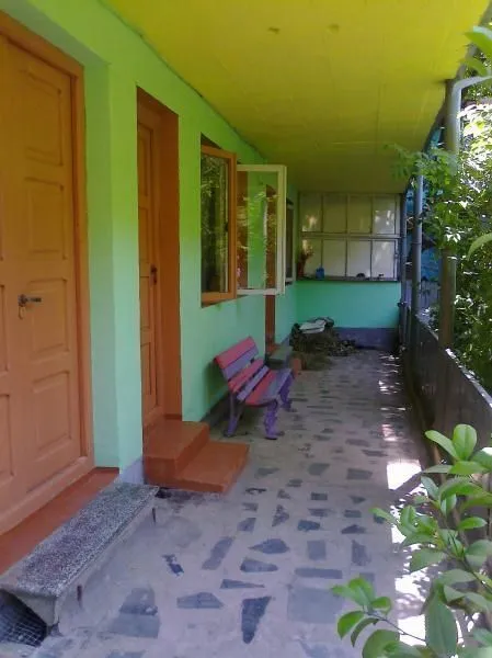 Dalko — Photo 4