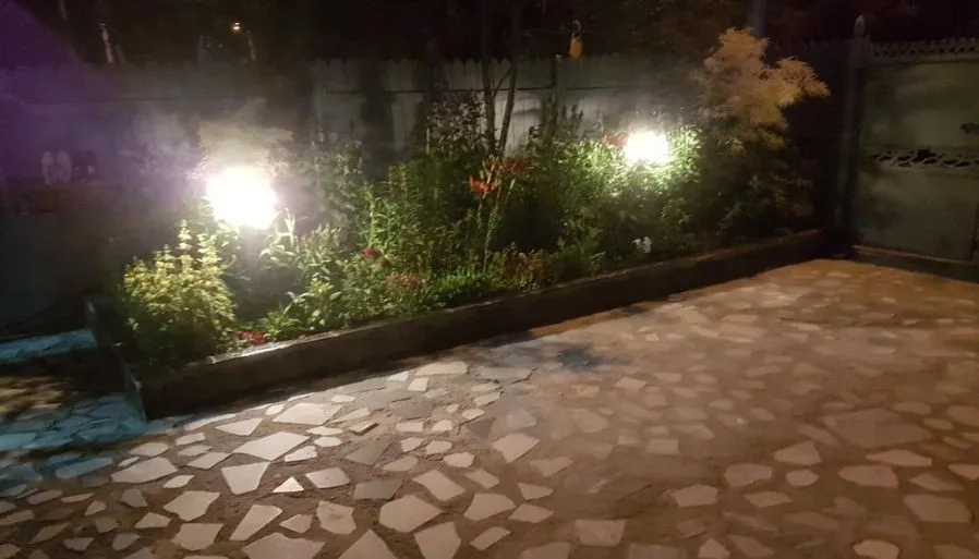 Zoia — Photo 11