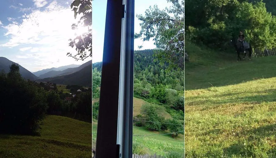 Guliko Margiani Guest House — Photo 6