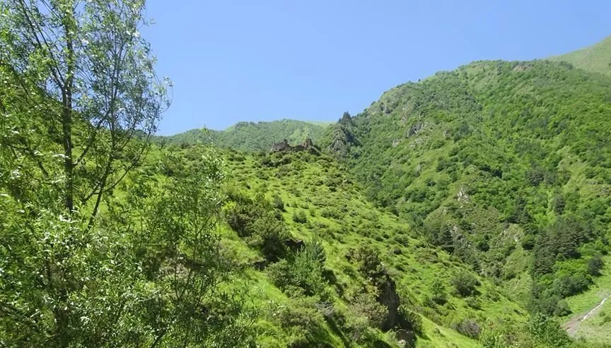 Shatili Vazha Chincharauli Guesthouse — Photo 2