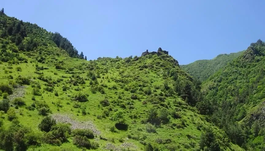 Shatili Vazha Chincharauli Guesthouse — Photo 10