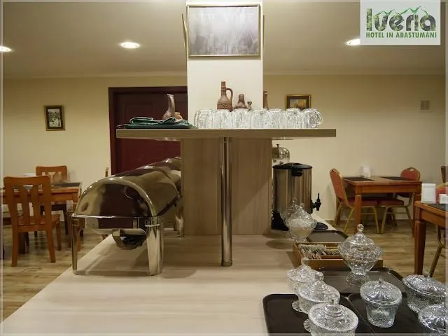 Hotel Iveria — Photo 9