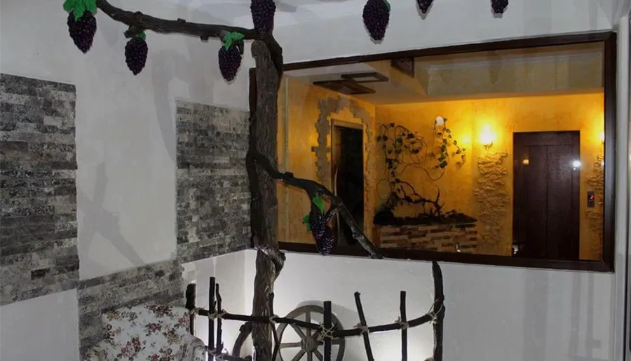 Travel Inn Bakuriani — Photo 11