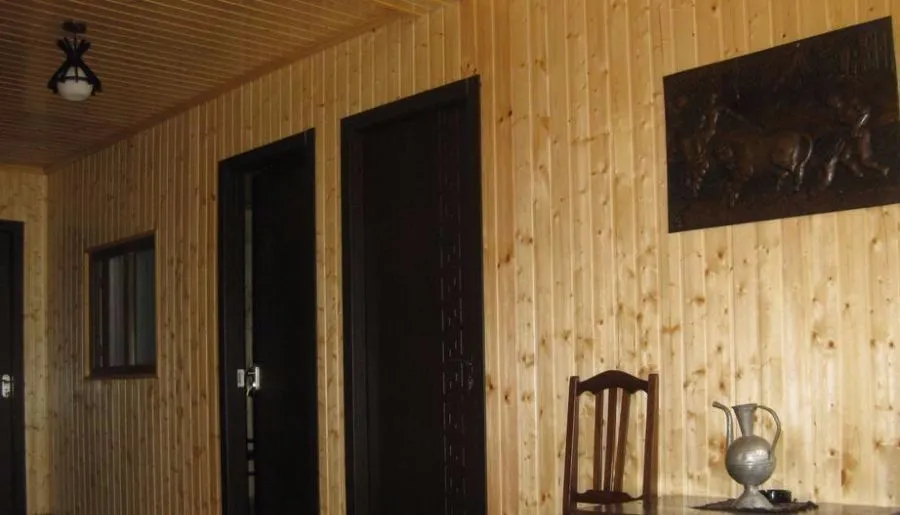 Shatili Guesthouse-Mziani — Photo 9