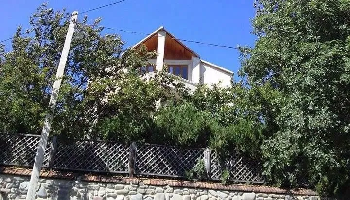 In My Georgian Family — Photo 1
