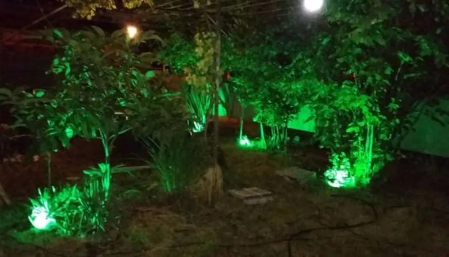 Zandukeli Inn — Photo 12