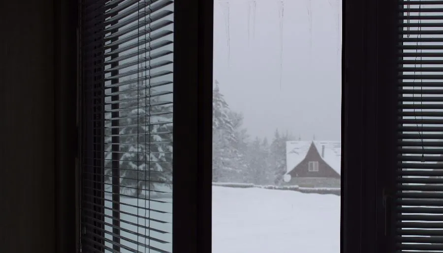House at the forest — Photo 1
