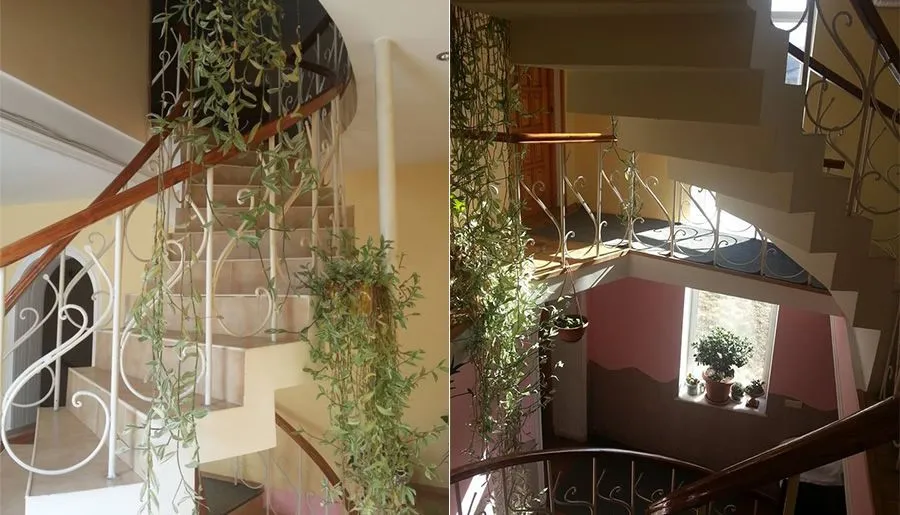 Hotel Sandro Papa — Photo 7