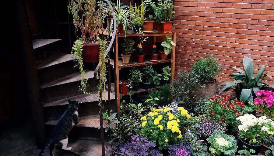Vintage Guest House — Photo 3