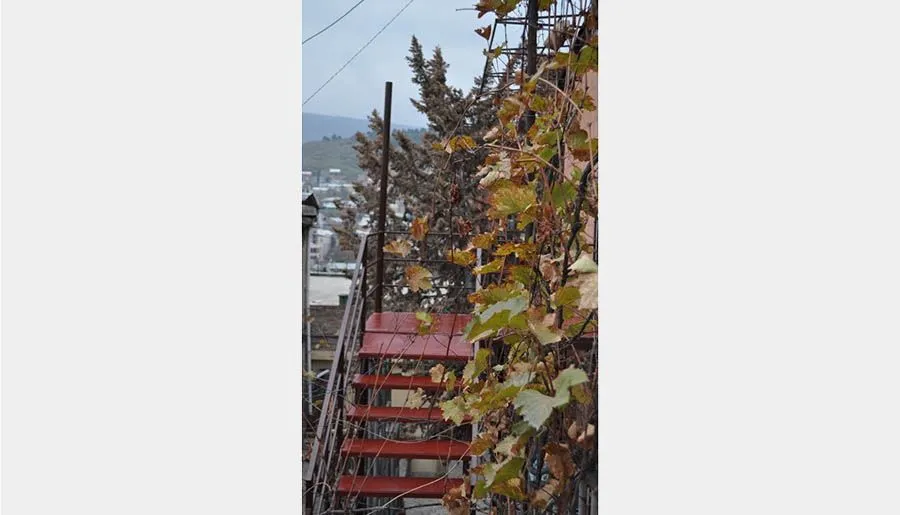 (G)old Avlabari — Photo 2