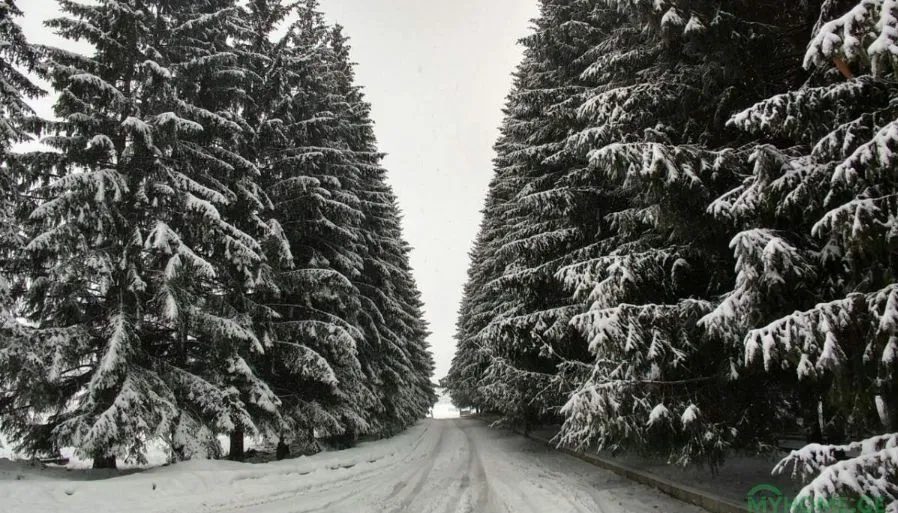 Bakuriani City — Photo 2