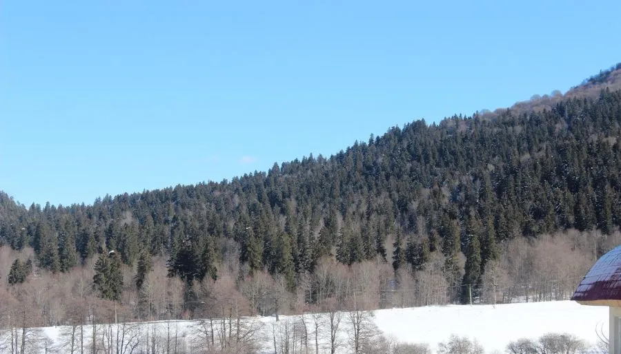 Haystack — Photo 8