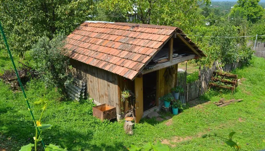 Skiji's Home — Photo 4