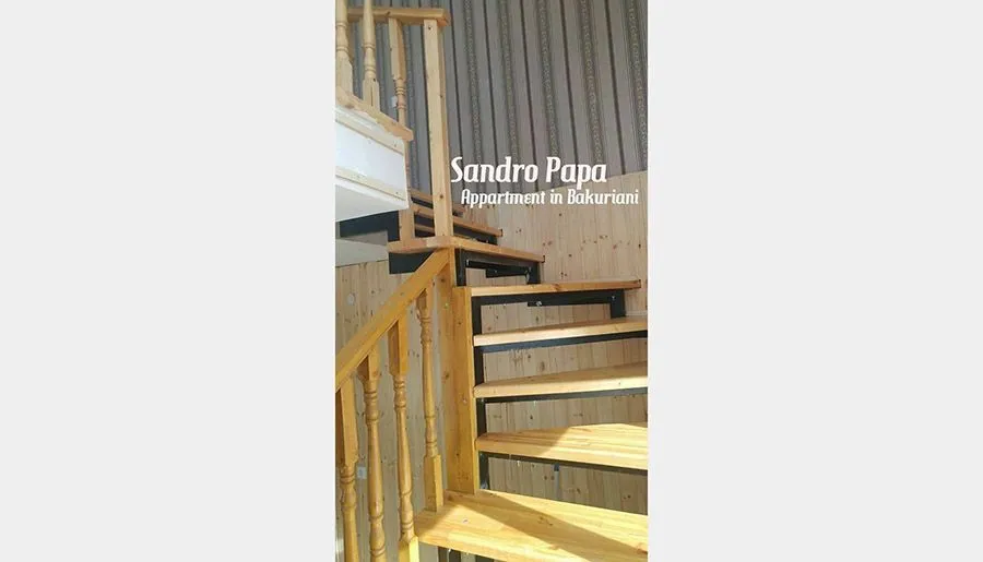 Sandro Papa's Apartments — Photo 3