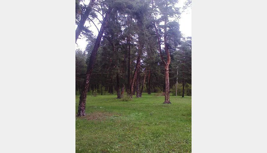 Guesthouse Manglisi — Photo 8