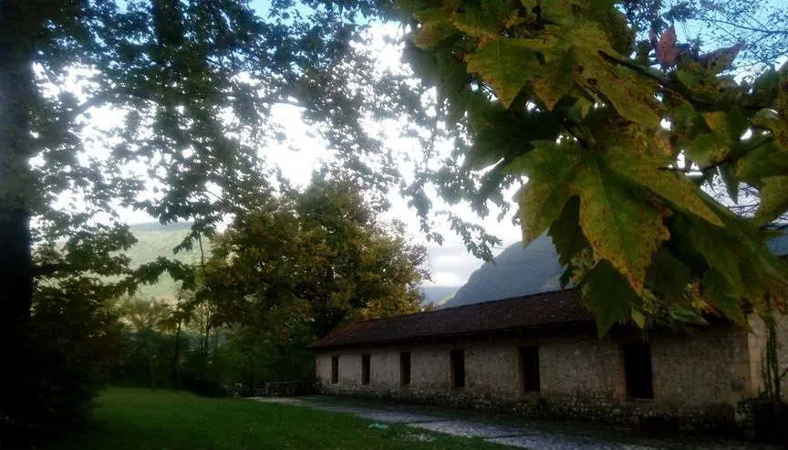 Wine house & L'Auberge Dadianebi — Photo 2