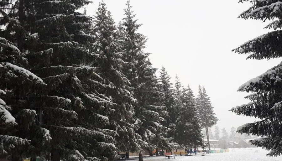 Bakuriani City — Photo 2